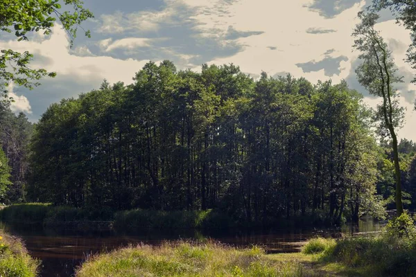 Uma Floresta Com Rio Czarna Hancza Que Estende Polónia Bielorrússia — Fotografia de Stock