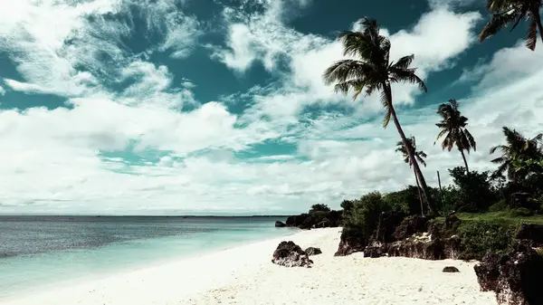 Eine Strandlandschaft Mit Palmen Einem Bewölkten Tag — Stockfoto