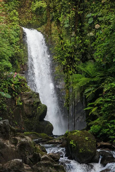 Pionowe Ujęcie Pięknego Wodospadu Drzewami Lesie — Zdjęcie stockowe