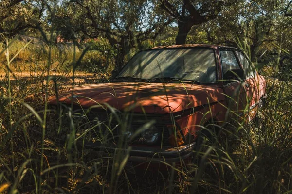 Abandoned Car Amidst Grasses Greek Countryside — Stock Photo, Image