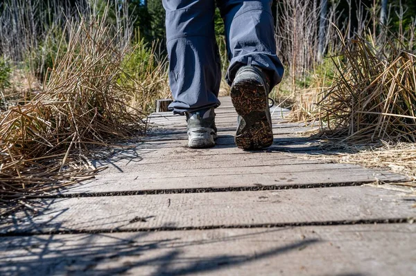 Widok Tyłu Ludzkich Stóp Przechodzących Przez Drewnianą Ścieżkę Otoczoną Trawą — Zdjęcie stockowe