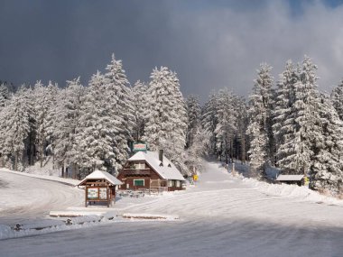 Almanya 'da karla kaplı evler ve çam ormanlarının kasvetli bir gökyüzü altında ürpertici bir manzarası.