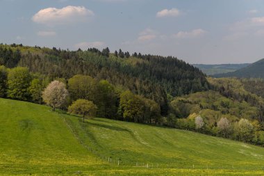 Almanya, Eifel Ulusal Parkı 'ndaki güzel bir çayırın havadan manzarası.