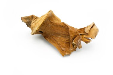 Beyaz arka planda izole edilmiş kurumuş bir yaprak.