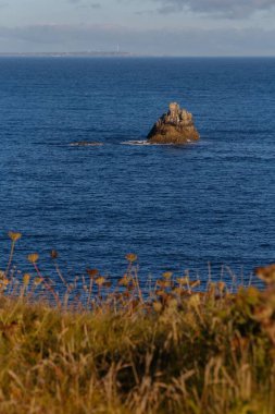 Bulutlu gökyüzünün altındaki bitkilerin arkasındaki bir kayanın dikey görüntüsü.