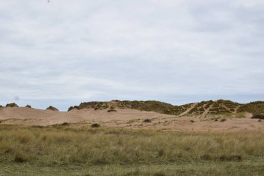 İngiltere 'de Crosby Sahili' nin etrafındaki çimenli kum tepelerinin bulutlu arka planda manzarası