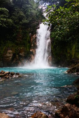 Ormandaki ağaçlarla dolu güzel bir şelalenin dikey görüntüsü.
