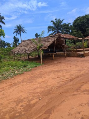 Taş devrinde birkaç palmiyeyle çevrili eski bir evin dikey ender görüntüsü.