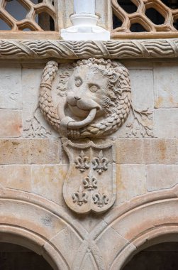 Salamanca 'daki deniz kabuğu evinin avlusundaki binanın ön cephesinde bir aslan başı.