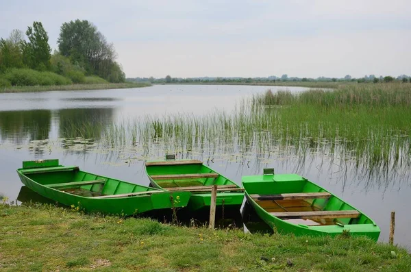Three Green Boats Grass Bank River — Stock Photo, Image