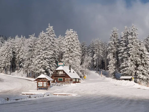 Almanya 'da karla kaplı evler ve çam ormanlarının kasvetli bir gökyüzü altında ürpertici bir manzarası.