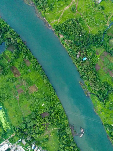 緑の植生に囲まれた川の垂直空撮 — ストック写真