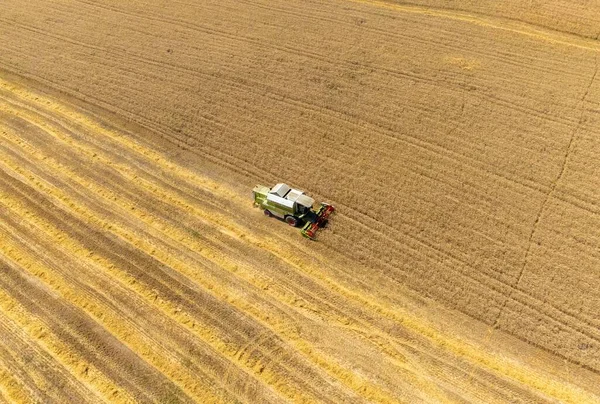 Yukarıdan Görülen Tarladan Buğday Hasadıyla Manzara Hasatçıyı Birleştirir — Stok fotoğraf