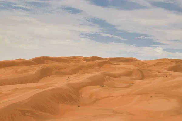 Öknens Sanddyner Efter Regn — Stockfoto