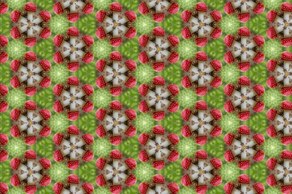 Fondo Caleidoscópico Rojo Verde Con Patrones Florales Sin Costuras — Foto de Stock