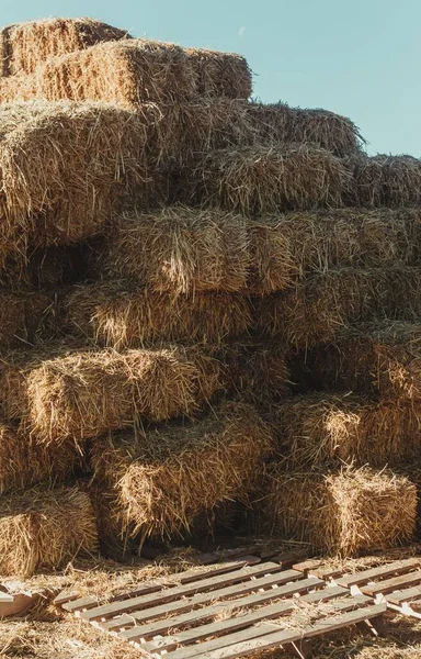 Vertical Shot Stacked Straw Bales — Stock Photo, Image