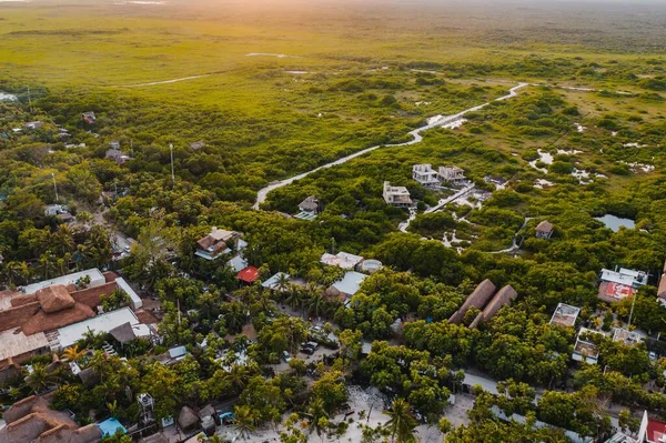 Vacker Utsikt Över Träd Och Hus Fältet Blå Himmel — Stockfoto