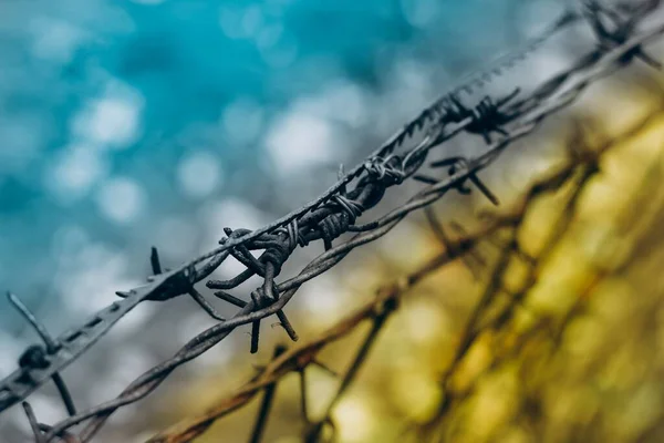 Close Shot Barbed Wire Spiral Security Barrier Prison Fencing Blue — Stock Photo, Image