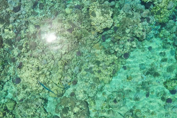 Close Shot Clear Sea Water Rocks — Stock Photo, Image