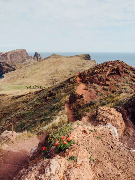 Tiro Vertical Falésias Com Relva Areia Costa Madeira — Fotografia de Stock