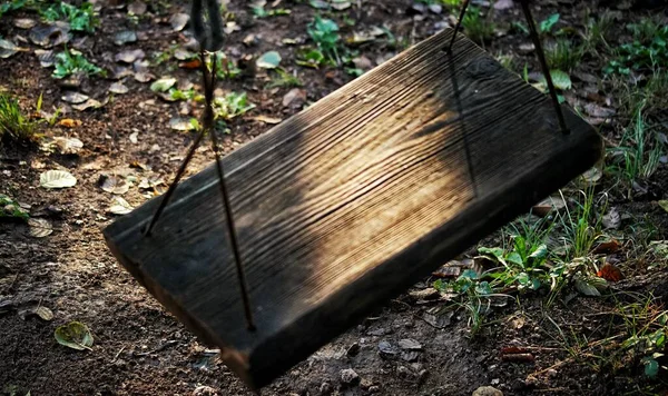Malá Dřevěná Houpačka Visela Stromě Lese Vlhkou Půdou Listy Pozadí — Stock fotografie