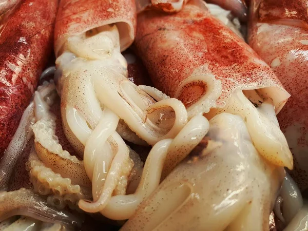 Una Gran Caja Pescado Llena Moluscos Cuerpo Blando Calamares Sepia —  Fotos de Stock