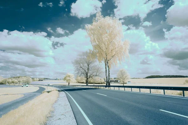 Tiro Infravermelho Uma Estrada Árvores Sob Nuvens Brancas Céu Azul — Fotografia de Stock