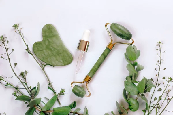 Jade Roller Massager Gouache Facial Scraper Background Green Plants — Stock Photo, Image