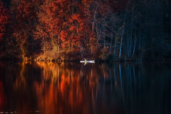 Zapierający Dech Piersiach Widok Człowieka Kajaki Jeziorze Drzewami Pomarańczowymi Tle — Zdjęcie stockowe