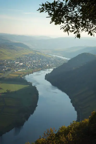 Vertikální Záběr Krásné Řeky Mosel Obklopený Zelení Německu — Stock fotografie