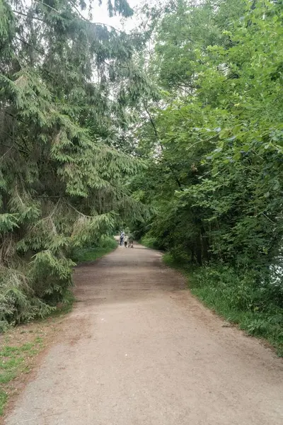 Staffordshire Lakeside Pathway Sunny Day Landscape Stoke Trent — Stock Photo, Image