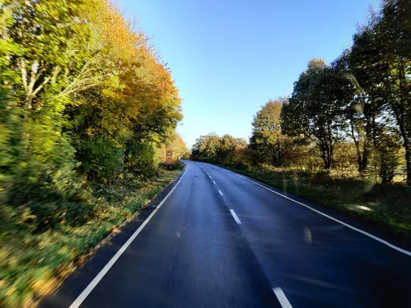 Düz Bir Yol Kenarında Ağaçlar Var — Stok fotoğraf