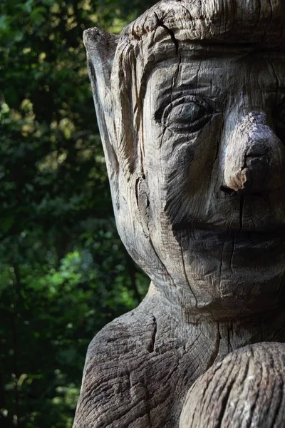木の幹に刻まれた男性の顔の閉鎖 — ストック写真