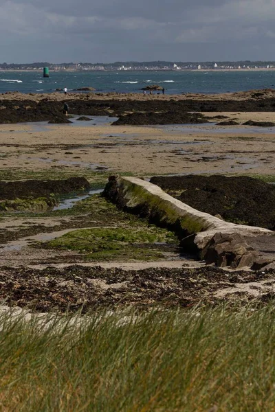 Ένα Κάθετο Πλάνο Της Βραχώδους Βαλτώδους Ακτής Του Cote Croisic — Φωτογραφία Αρχείου