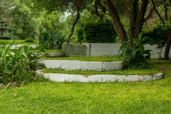 Uma Bela Vista Para Jardim África Austral — Fotografia de Stock