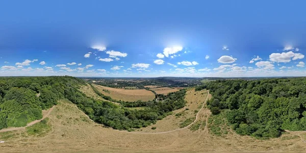 Natural View Vast Plain Forest Landscape Sunny Day — Stock Photo, Image