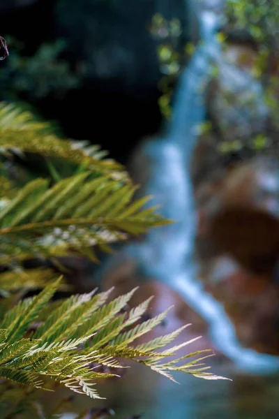選択的焦点で滝の横に成長する緑の植物の垂直ショット — ストック写真