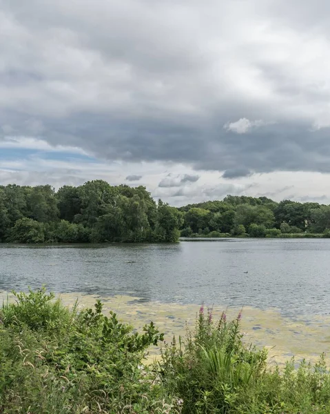 Staffordshire Lake Water Algae Sunny Day Stoke Trent — Stock Photo, Image