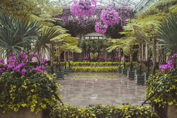 Wewnętrzny Ogród Wypełniony Fioletowymi Kwiatami — Zdjęcie stockowe