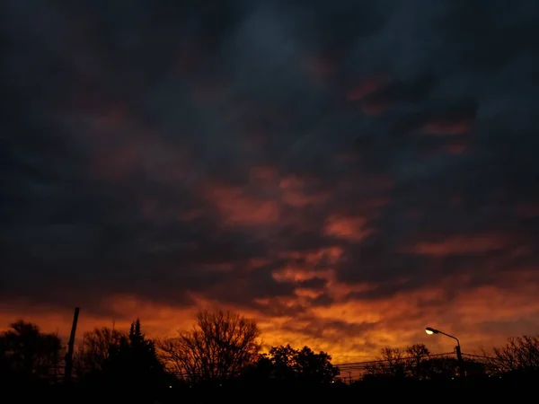 Una Vista Panorámica Siluetas Árboles Contra Hermoso Cielo Atardecer — Foto de Stock