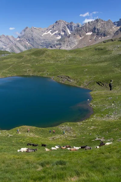Wspaniałe Jezioro Turyści Kozy Pasące Się Pirenejach Francja — Zdjęcie stockowe
