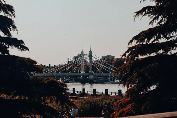 Duże Zawieszenie Albert Bridge Przez Szeroką Rzekę Centrum Londynu — Zdjęcie stockowe