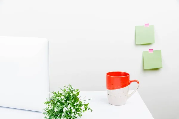 A tidy workspace with a laptop, sticky notes on the wall, a plant and a mug