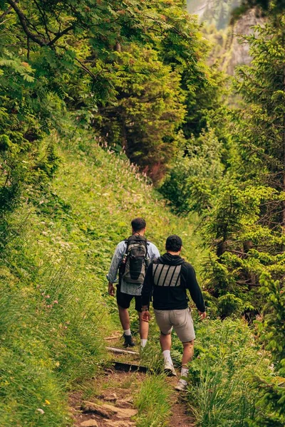 Pionowe Ujęcie Dwóch Mężczyzn Idących Wąską Ścieżką Lesie Bujnymi Zielonymi — Zdjęcie stockowe