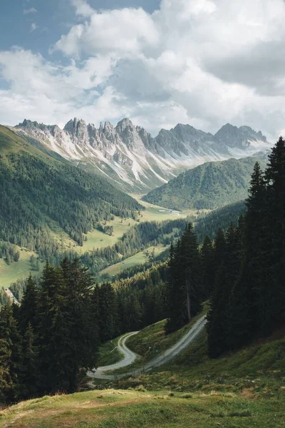 Een Smalle Weg Het Bos Tegen Een Prachtig Berglandschap — Stockfoto