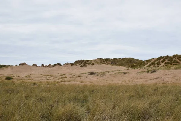 Naturskön Utsikt Över Sanddyner Med Gräs Runt Crosby Beach England — Stockfoto