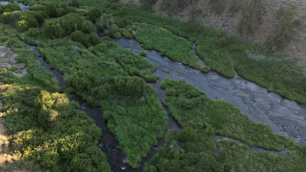 Uma Vista Aérea Uma Bela Floresta Dia Ensolarado — Fotografia de Stock