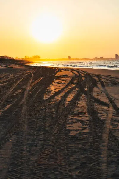 Отпечатки Колес Мокром Песчаном Пляже Солнечным Светом — стоковое фото