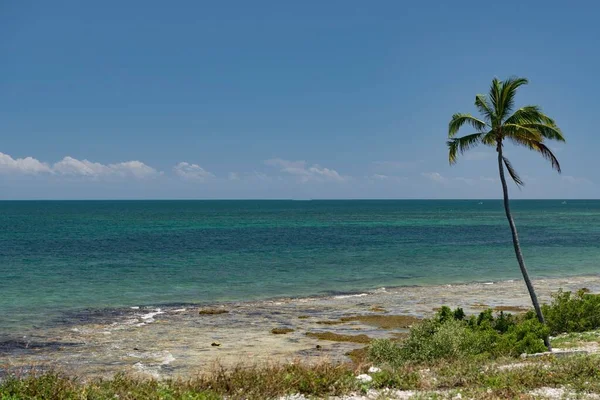 Beautiful View Ocean Key West Florida Usa — Stock Photo, Image