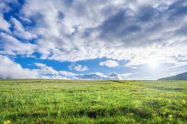 Cielo Azul Con Nubes Sobre Campo Verde Abierto Ideal Para —  Fotos de Stock